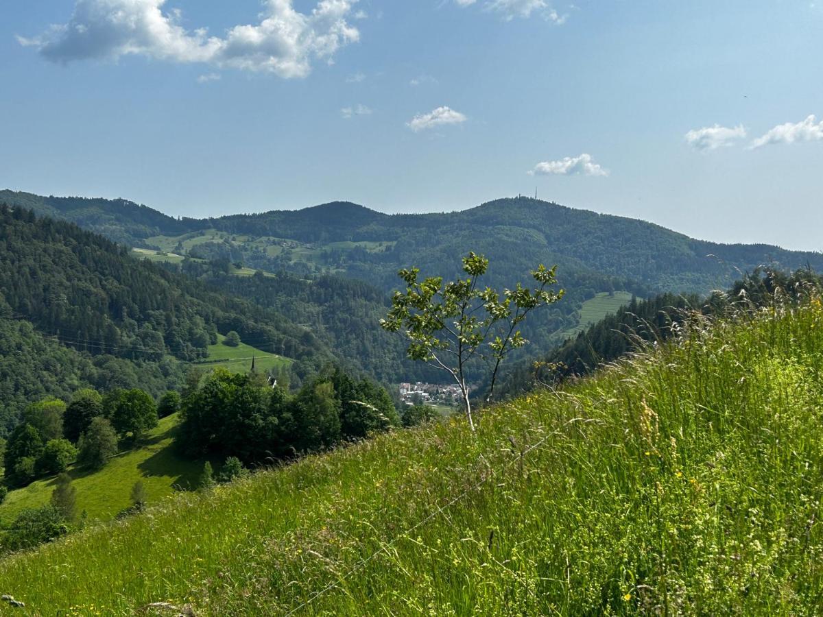 Cella Apartments **** Zell im Wiesenthal Екстер'єр фото
